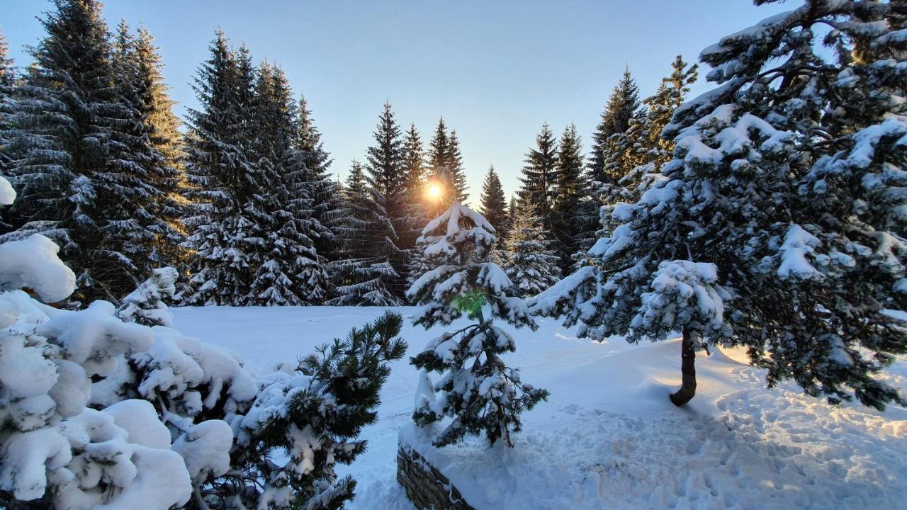 Horska Bouda U Kokrhace Hotel Dolni Mala Upa Exterior photo